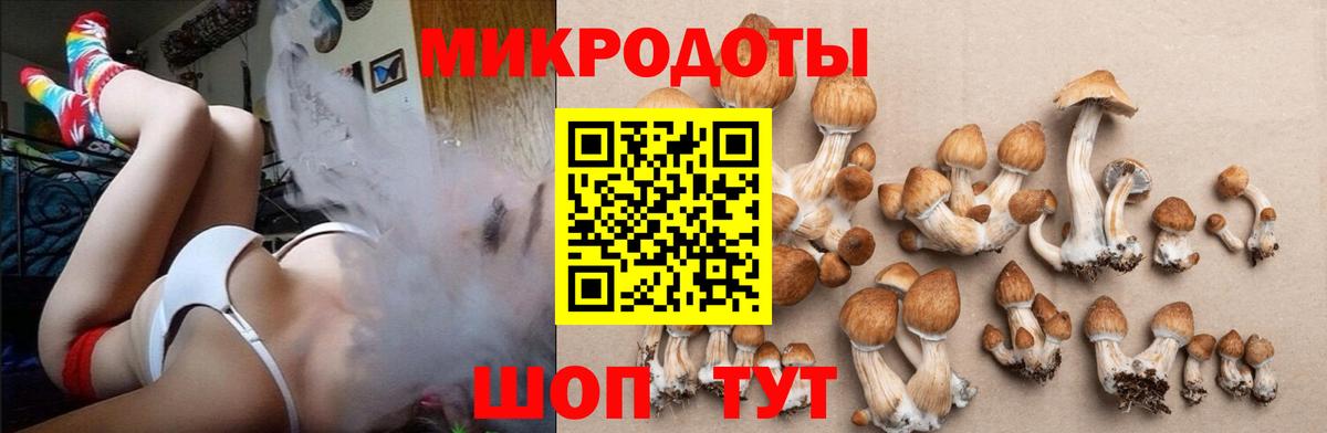 Псилоцибиновые грибы мицелий  Вход с VPN  Астрахань 